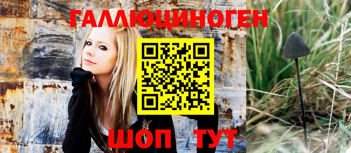 Псилоцибиновые грибы прущие грибы  Псилоцибиновые грибы Magic Shrooms  Вход с VPN  Новочеркасск 