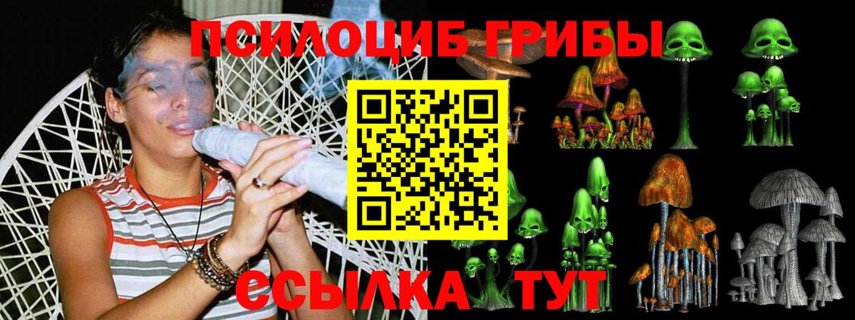 Псилоцибиновые грибы MAGIC MUSHROOMS Новочеркасск